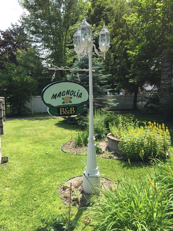Magnolia