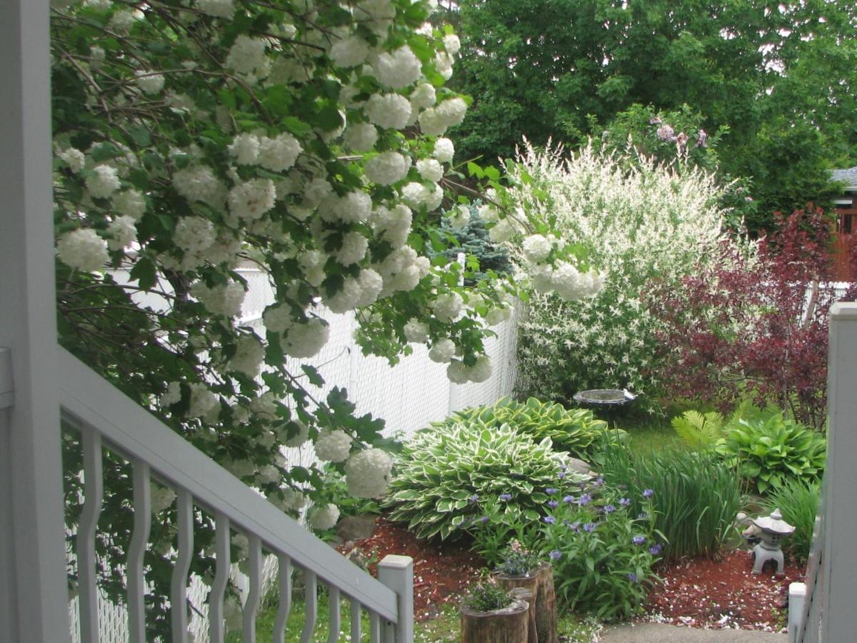Bed & Breakfast Magnolia